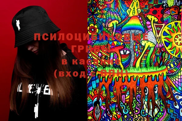 мдма Гусев