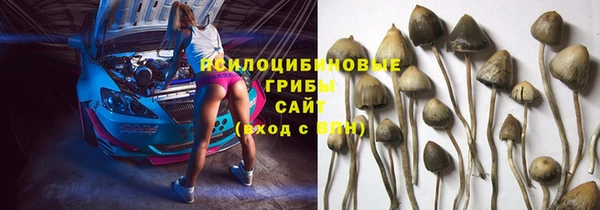мдма Гусев